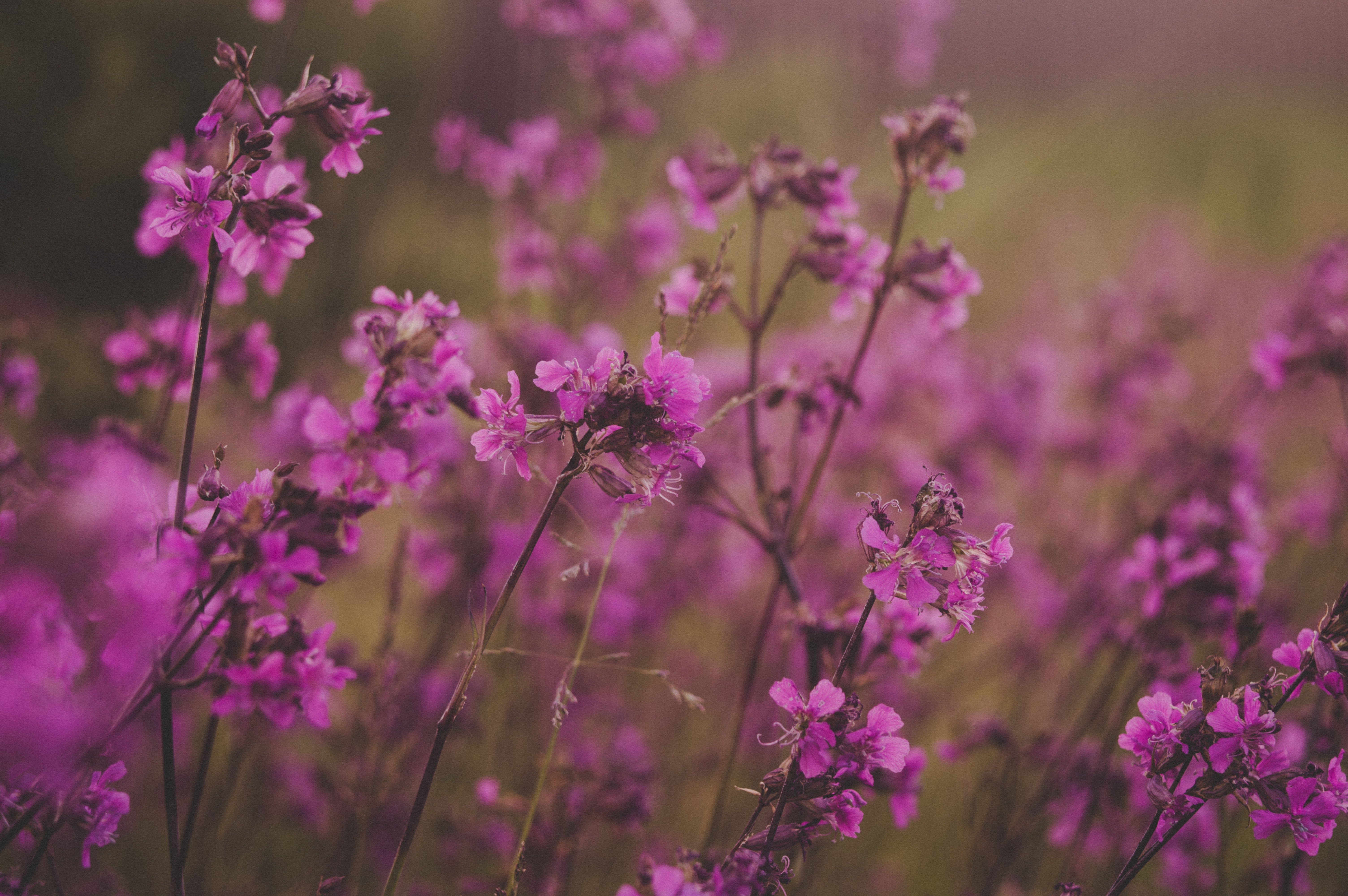 How Our Environment Influences Us