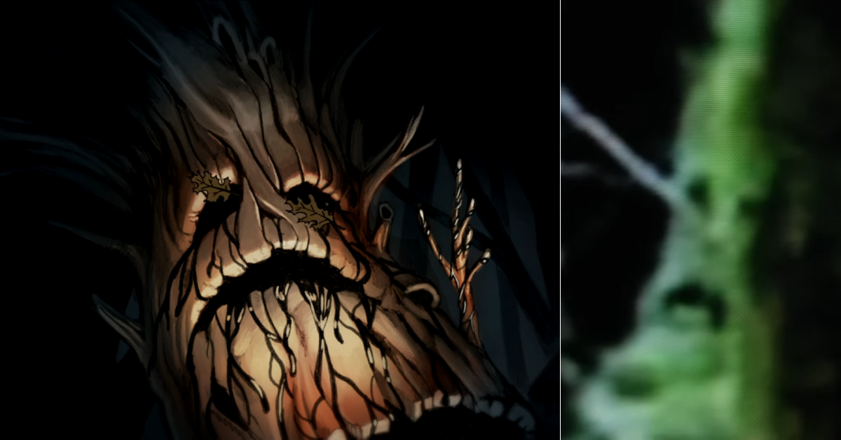 Real Life Edelwood Tree from Over the Garden Wall Found in Forest?